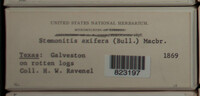 Image Associated With the Occurence